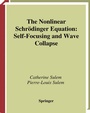 Cover: The Nonlinear Schrödinger Equation - Springer