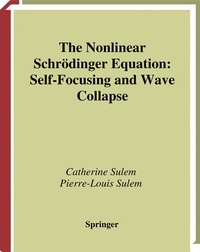 Enlarge image Cover: The Nonlinear Schrödinger Equation - Springer