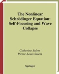 Cover: The Nonlinear Schr&ouml;dinger Equation - Springer