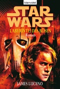 Cover: Star Wars. Labyrinth des B&ouml;sen - Blanvalet