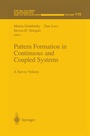 Cover: Pattern Formation in Continuous and Coupled Systems - Springer