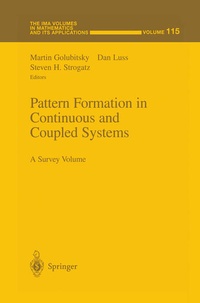 Enlarge image Cover: Pattern Formation in Continuous and Coupled Systems - Springer