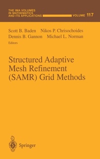Abbildung von: Structured Adaptive Mesh Refinement (SAMR) Grid Methods - Springer