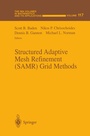 Cover: Structured Adaptive Mesh Refinement (SAMR) Grid Methods - Springer