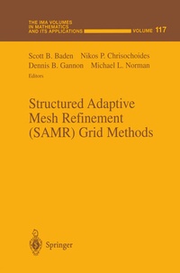 Enlarge image Cover: Structured Adaptive Mesh Refinement (SAMR) Grid Methods - Springer