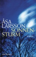 Cover: Sonnensturm - C. Bertelsmann