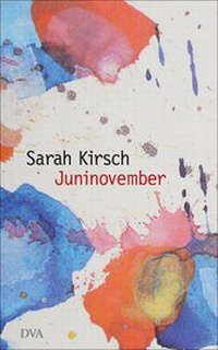 Abbildung von: Juninovember - DVA