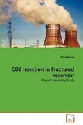 Cover: CO2 Injection in Fractured Reservoir - VDM Verlag