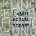 Cover: Schubert Adrast - Verlag der &ouml;sterreichischen Akademie der Wissenschaften