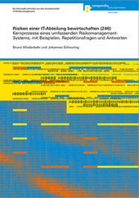 Abbildung von: Risiken einer IT-Abteilung bewirtschaften (246) - Compendio Bildungsmedien
