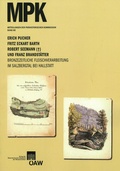 Cover: Bronzezeitliche Fleischverarbeitung im Salzbergtal bei Hallstatt - Verlag der &ouml;sterreichischen Akademie der Wissenschaften