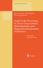 Cover: Small-Scale Structures in Three-Dimensional Hydrodynamic and Magnetohydrodynamic Turbulence - Springer