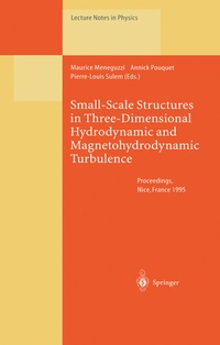 Enlarge image Cover: Small-Scale Structures in Three-Dimensional Hydrodynamic and Magnetohydrodynamic Turbulence - Springer