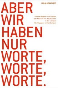 Abbildung von: Aber wir haben nur Worte, Worte, Worte - Verlag Anton Pustet Salzburg