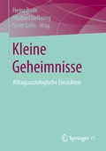 Cover: Kleine Geheimnisse - Springer VS