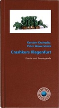 Cover: Crashkurs Klagenfurt - Heyn