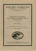 Cover: Morphologische Ergebnisse einer Analyse der H&ouml;ttinger Breccie bei Innsbruck - Universit&auml;tsverlag Wagner