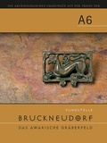Cover: Die arch&auml;ologischen Grabungen auf der Trasse der A6 - Universit&auml;tsverlag Wagner