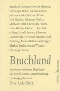 Cover: Brachland - L&ouml;wenzahn Verlag in der Studienverlag Ges.m.b.H.