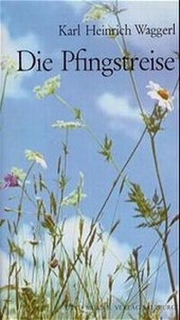 Enlarge image Cover: Die Pfingstreise - Otto Müller Verlag GmbH