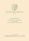 Cover: Industrielle Revolution und religi&ouml;se Krise - VS Verlag f&uuml;r Sozialwissenschaften