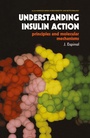 Cover: Understanding Insulin Action - Springer