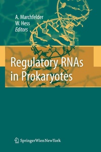 Abbildung von: Regulatory RNAs in Prokaryotes - Springer