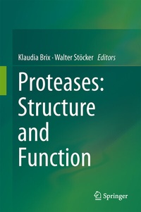Abbildung von: Proteases: Structure and Function - Springer