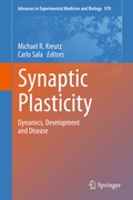 Bild: Synaptic Plasticity - Springer