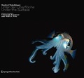 Cover: Unter der Oberfl&auml;che/ Under the Surface - Springer