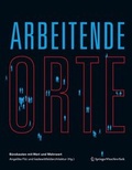 Cover: Arbeitende Orte - Springer