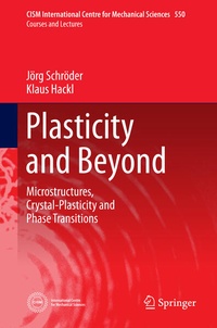 Enlarge image Cover: Plasticity and Beyond - Springer