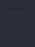Cover: Der Hirnstamm der Maus - Springer