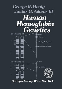 Bild vergrößern Bild: Human Hemoglobin Genetics - Springer