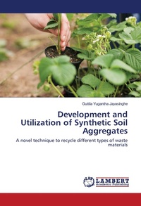 Enlarge image Cover: Development and Utilization of Synthetic Soil Aggregates - LAP Lambert Academic Publishing