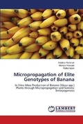 Cover: Micropropagation of Elite Genotypes of Banana - LAP Lambert Academic Publishing