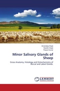 Cover: Minor Salivary Glands of Sheep - LAP Lambert Academic Publishing