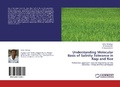 Cover: Understanding Molecular Basis of Salinity Tolerance in Ragi and Rice - LAP Lambert Academic Publishing