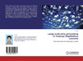 Cover: Large scale data processing in Hadoop MapReduce scenario - LAP Lambert Academic Publishing