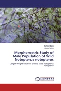 Cover: Morphometric Study of Male Population of Wild Notopterus notopterus - LAP Lambert Academic Publishing