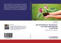Cover: Bioremediation of phorate-an organophosphate insecticide - LAP Lambert Academic Publishing