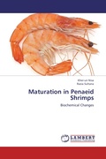 Cover: Maturation in Penaeid Shrimps - LAP Lambert Academic Publishing