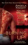 Cover: Burning Up - Berkley Publishing Corporation,U.S.