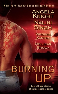 Enlarge image Cover: Burning Up - Berkley Publishing Corporation,U.S.