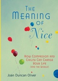 Cover: The Meaning of Nice - Penguin USA