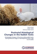 Bild: Postnatal Histological Changes in the Rabbit Testis - LAP Lambert Academic Publishing