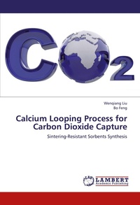 Enlarge image Cover: Calcium Looping Process for Carbon Dioxide Capture - LAP Lambert Academic Publishing