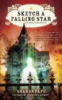 Enlarge image Cover: Sketch a Falling Star - Penguin USA