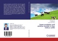 Cover: Super-ovulation and embryo transfer in bos indicus cattle - LAP Lambert Academic Publishing