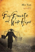 Cover: Big Breasts and Wide Hips - Methuen Publishing Ltd